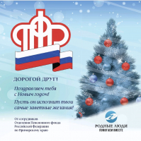 Сладкие подарки к Новому году от сотрудников ПФР Приморского края передали детям в Торез 0